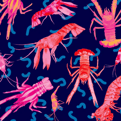 Shellfish Top